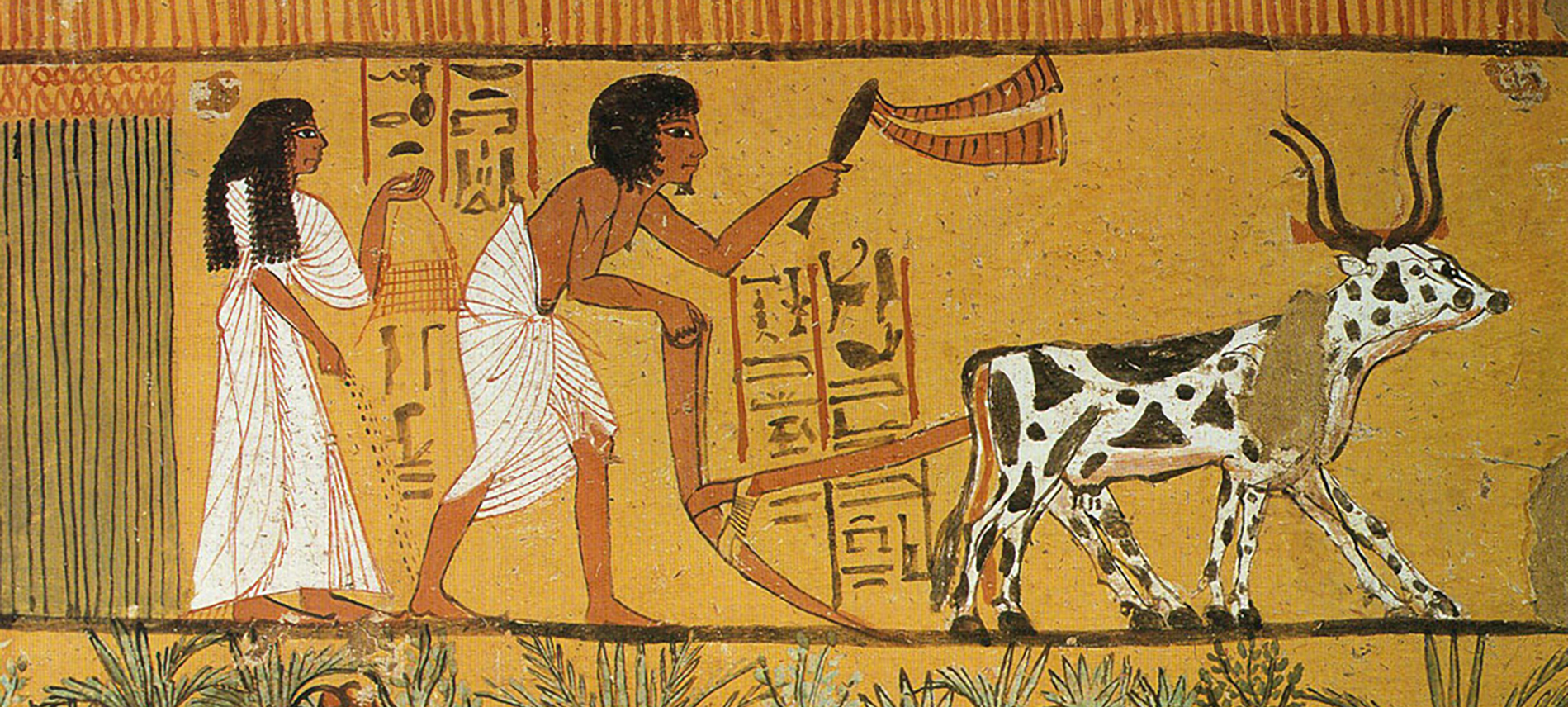 Земледельцы в древнем Египте египтянами